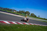 anglesey;brands-hatch;cadwell-park;croft;donington-park;enduro-digital-images;event-digital-images;eventdigitalimages;mallory;no-limits;oulton-park;peter-wileman-photography;racing-digital-images;silverstone;snetterton;trackday-digital-images;trackday-photos;vmcc-banbury-run;welsh-2-day-enduro